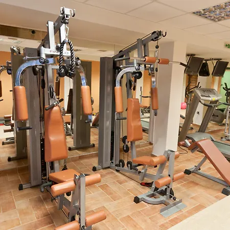 Kronos 플라타모나스